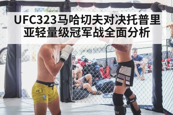 mma fighters octagon cage - c7c7.app